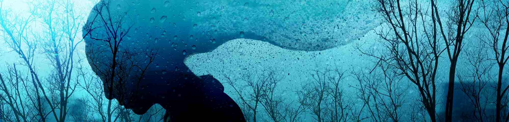 Silhouette eines nachdenklichen Menschen mit Wasserstruktur und kahlen Bäumen – symbolisiert psychische Belastung und seelische Zustände.