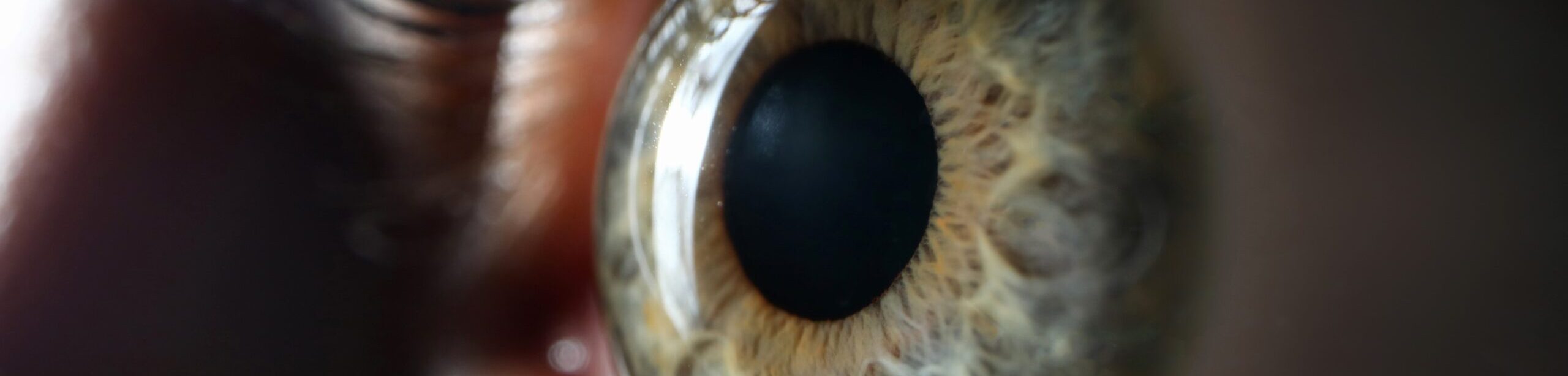 Makroaufnahme eines menschlichen Auges mit Fokus auf die Iris – Symbol für Hypnose und Bewusstsein