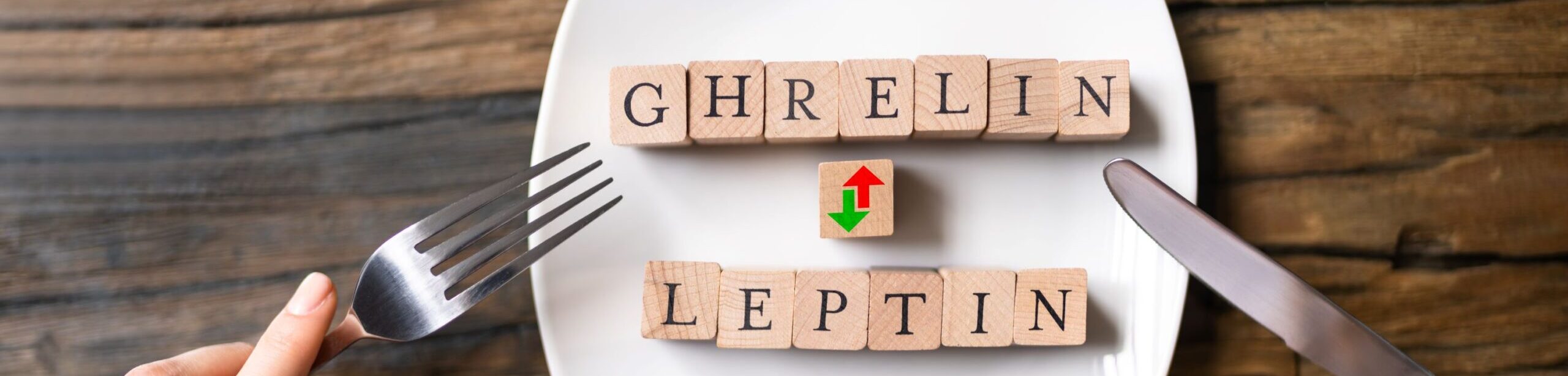 Ghrelin und Leptin – Hormonelle Steuerung von Hunger und Sättigung